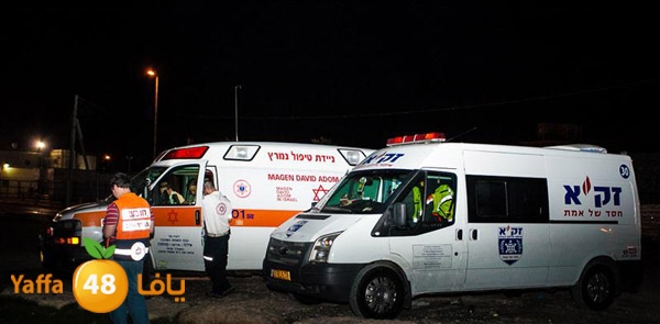 3aregmontreeh520 (39).jpg